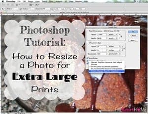 How to Resize an Image in Photoshop for Large Prints