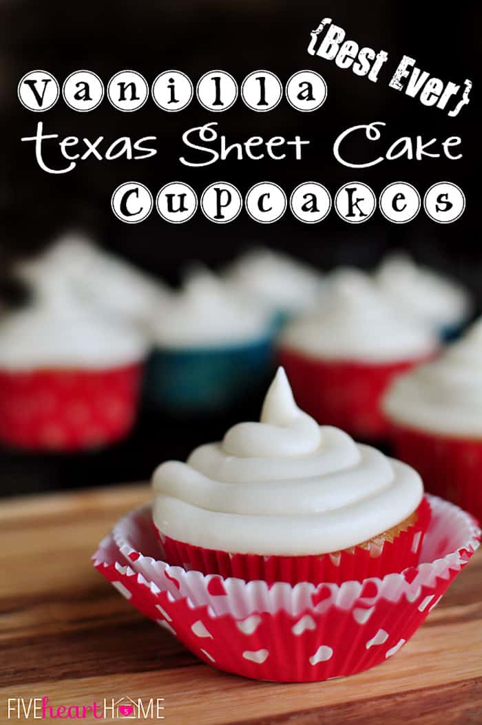 Vanilla Texas Sheet Cake Cupcakes ~ reminiscent of a Texas sheet cake, these cupcakes are extremely moist, pleasantly dense, and bursting with real vanilla flavor! | FiveHeartHome.com via @fivehearthome