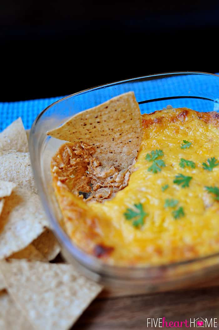 Close-up of chip dipping into Chicken Enchilada Dip