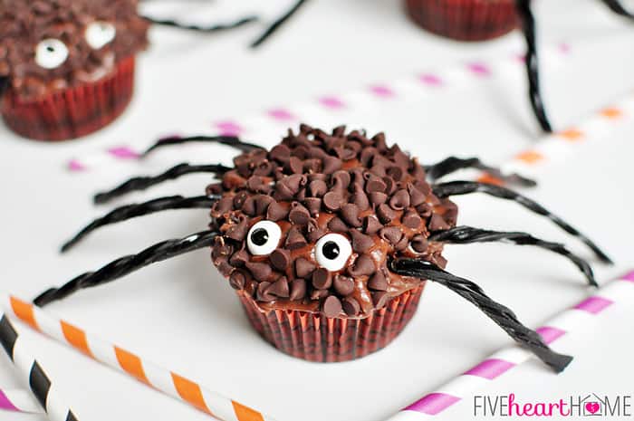 Close-Up of Spider Cupcake decorated with mini chocolate chips, licorice legs, and candy eyeballs