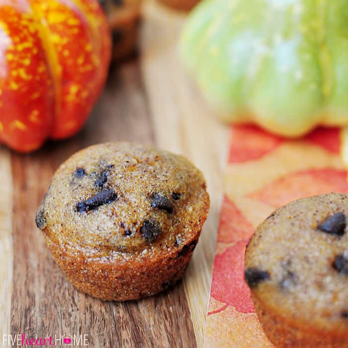 Pumpkin Mini Muffin studded with chocolate chips.