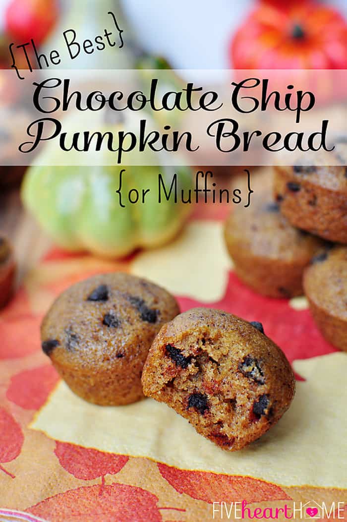 Pumpkin Chocolate Chip Bread or Muffins ~ this soft, moist pumpkin bread recipe is perfectly spiced and studded with chocolate chips. And it's so delicious that it will replace any other pumpkin bread recipe you've ever tried! | FiveHeartHome.com via @fivehearthome