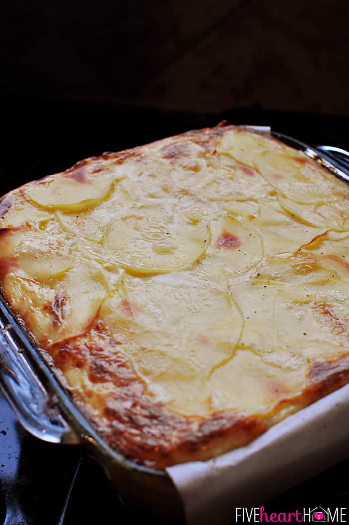 Close-Up of Scalloped Potato Flan in Baking Dish Golden and Bubbly 