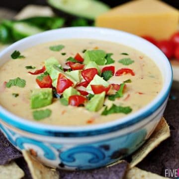 Cheddar and Sour Cream Queso ~ instead of processed cheese, this creamy dip boasts loads of flavor from all natural ingredients | {Five Heart Home}