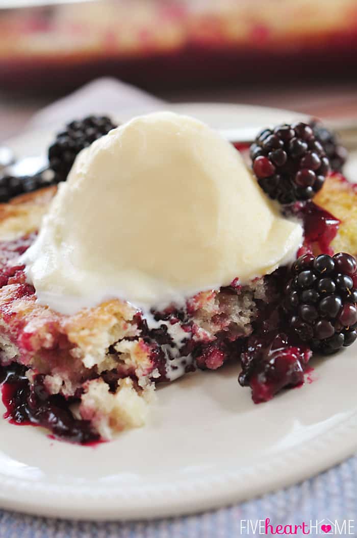 The BEST Blackberry Cobbler ~ Easy & Homemade! • FIVEheartHOME