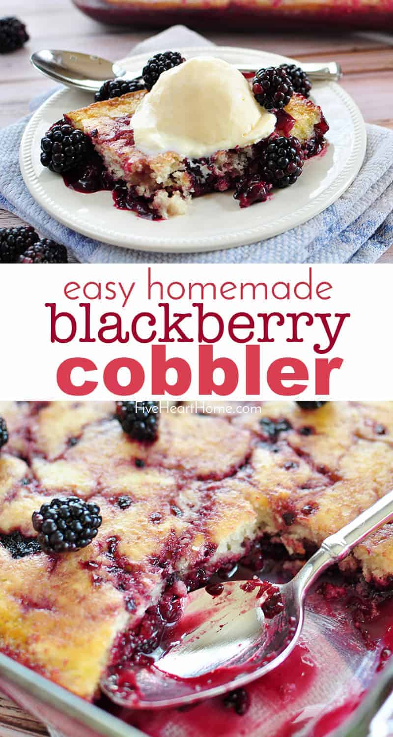 Easy Blackberry Cobbler ~ this from-scratch, scrumptious summer dessert recipe features plump, tart blackberries ribboned through a layer of sweet, tender cake! | FiveHeartHome.com via @fivehearthome