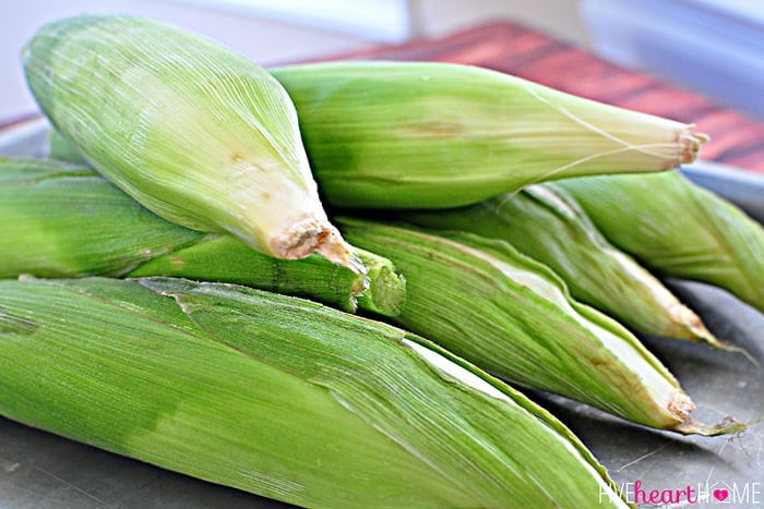 Fresh Corn in Husk Before it Goes in the Oven