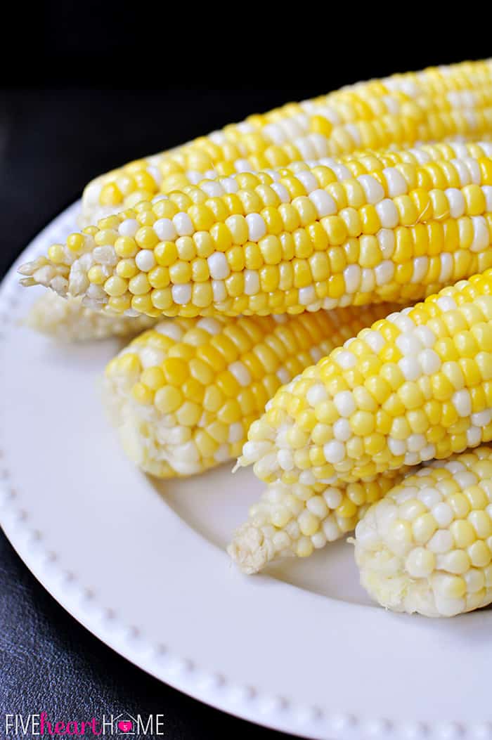 Close-Up on a White Platter 