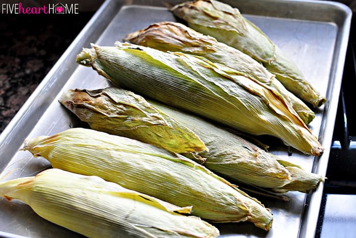 Corn on the Cob on a Baking Sheet Fresh from the Oven 