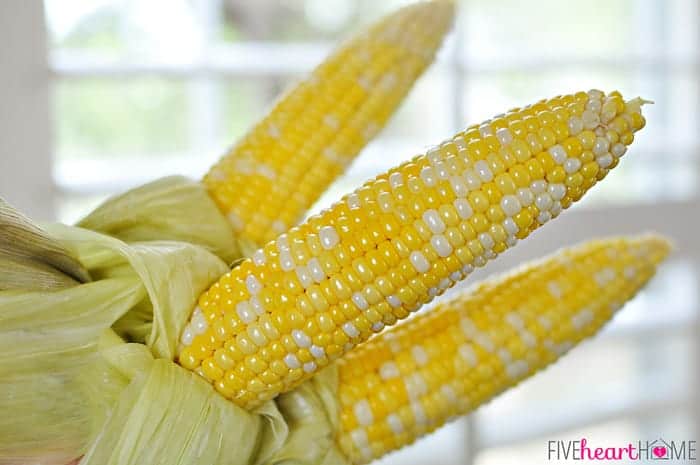 Freshly Shucked Corn on the Cobb Fresh from the Oven 