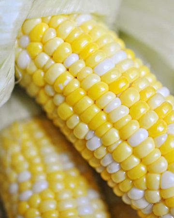 The Easiest, Tastiest, BEST Way to Cook Fresh Corn on the Cob: Oven Roasting! Simply wash & cook...once done, husks and silk peel away with no mess! | FiveHeartHome.com