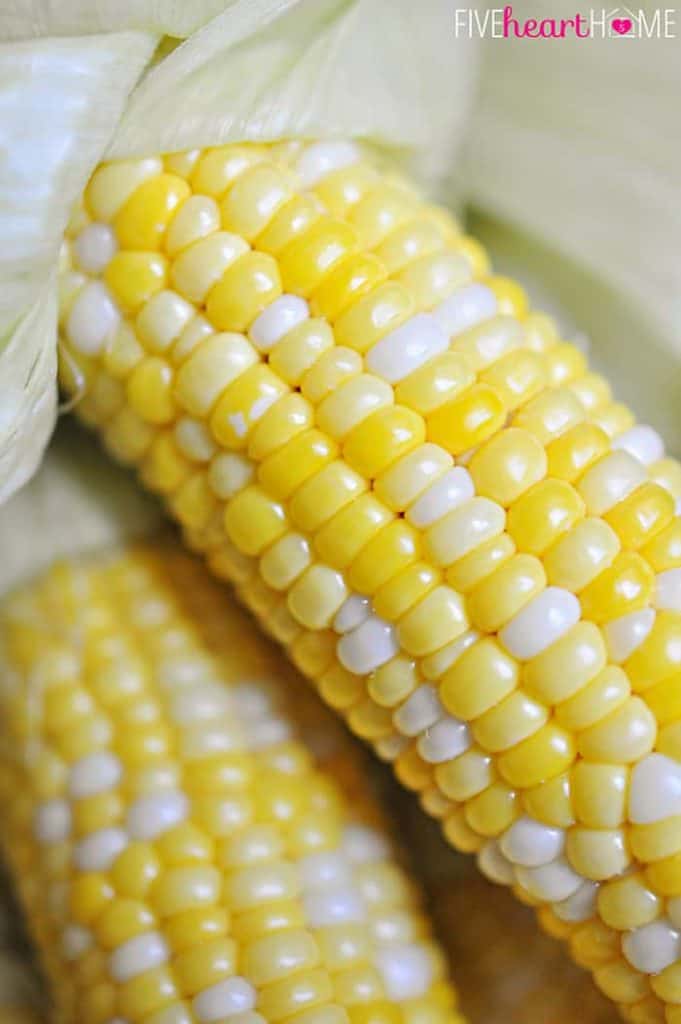 The Easiest, Tastiest, BEST Way to Cook Fresh Corn on the Cob: Oven Roasting! Simply wash & cook...once done, husks and silk peel away with no mess! | FiveHeartHome.com