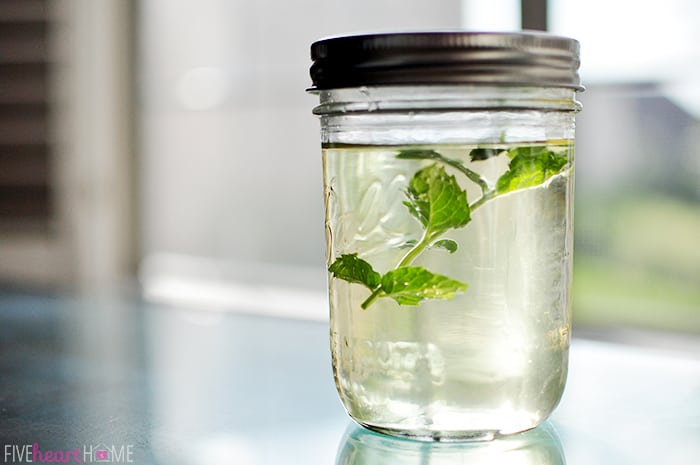 Mason jar of mint simple syrup with sprig of mint floating inside