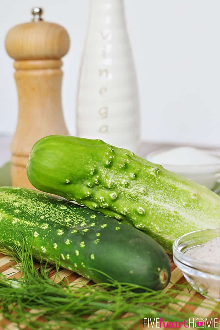 Stack of Pickles with Fresh Dill Sprigs 