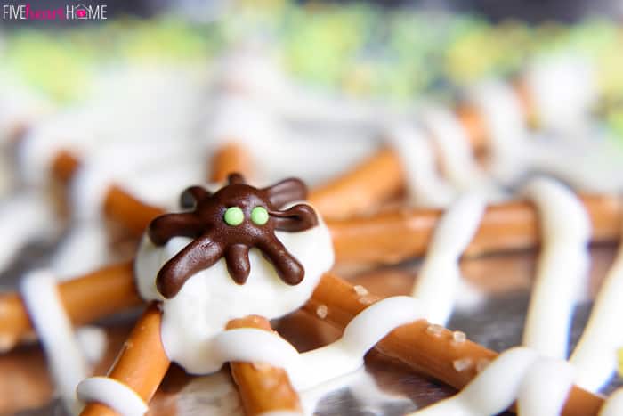 Close-Up of Chocolate Spider on Halloween Pretzel Treat