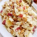 Chicken Salad with Apples and Cashews ~ a honey-kissed autumn spin on classic Sonoma Chicken Salad | FiveHeartHome.com #chickensalad #fall #recipe