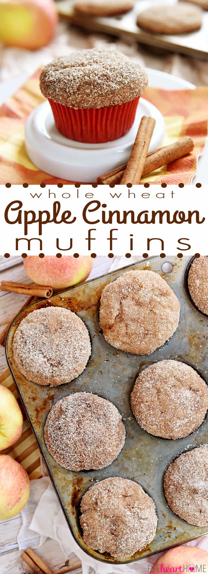 Apple Cinnamon Muffins ~ these soft and sweetly spiced apple muffins are made with wholesome whole wheat flour, bursting with tender apple chunks, and generously coated with cinnamon sugar! | FiveHeartHome.com via @fivehearthome