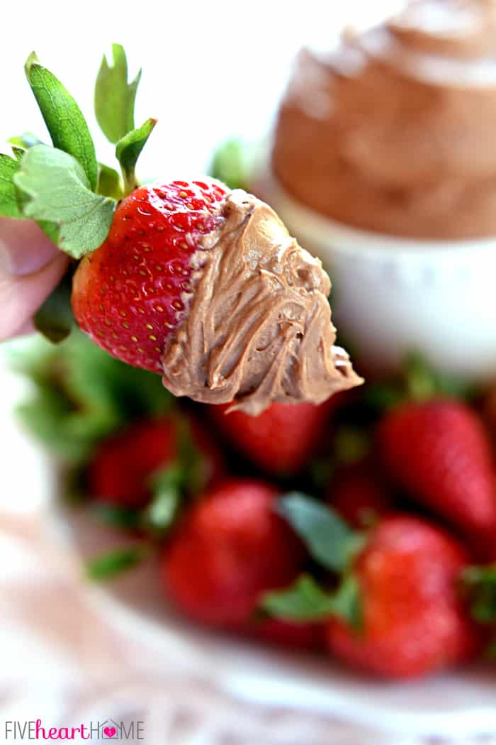 Strawberry Dipped in Fluffy Chocolate Fruit Dip 