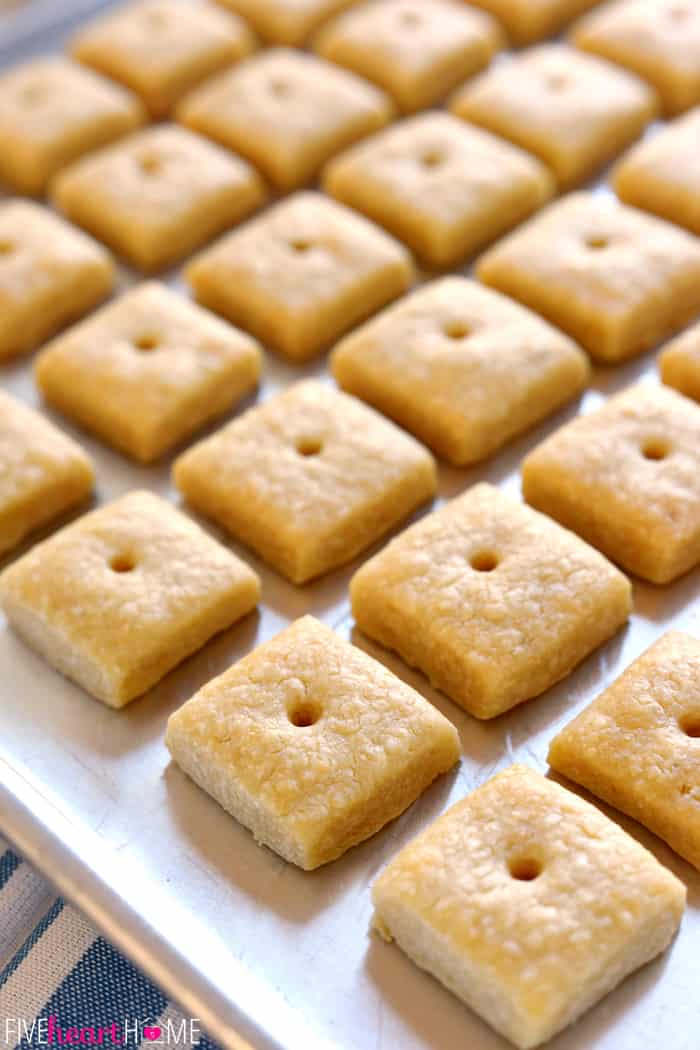 Lined up in rows on a baking sheet.