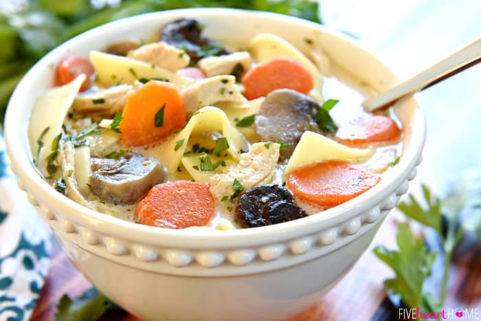 Slow Cooker Chicken Noodle Soup in white bowl.