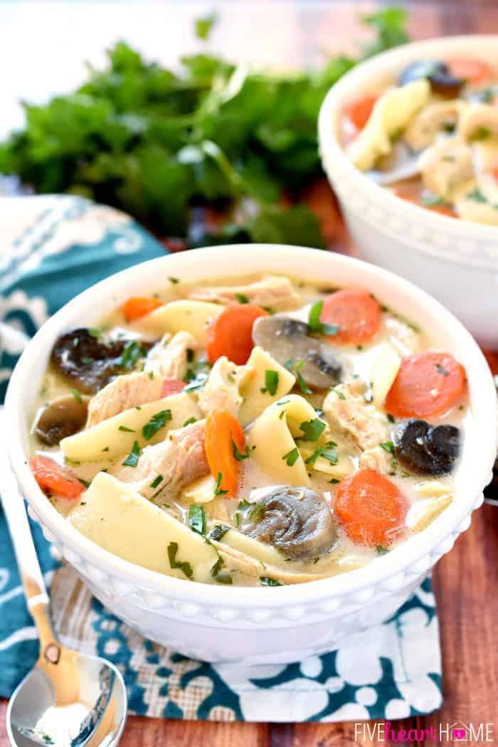 Slow Cooker Chicken Noodle Soup