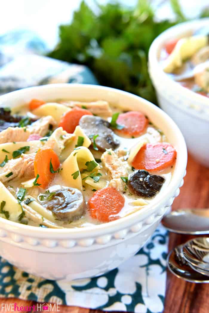 The BEST Slow Cooker Chicken Noodle Soup ~ wholesome and easy to make, this crock pot soup is extra flavorful thanks to a few secret ingredients...and it's the perfect get-well-soon recipe for making it through cold and flu season! | FiveHeartHome.com