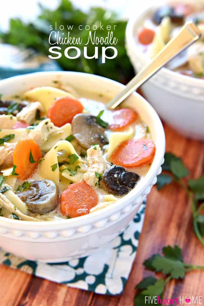 Slow Cooker Chicken Noodle Soup - Little Sunny Kitchen