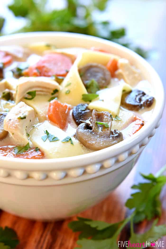 The BEST Slow Cooker Chicken Noodle Soup in a White Soup Bowl with Parsley Garnish 
