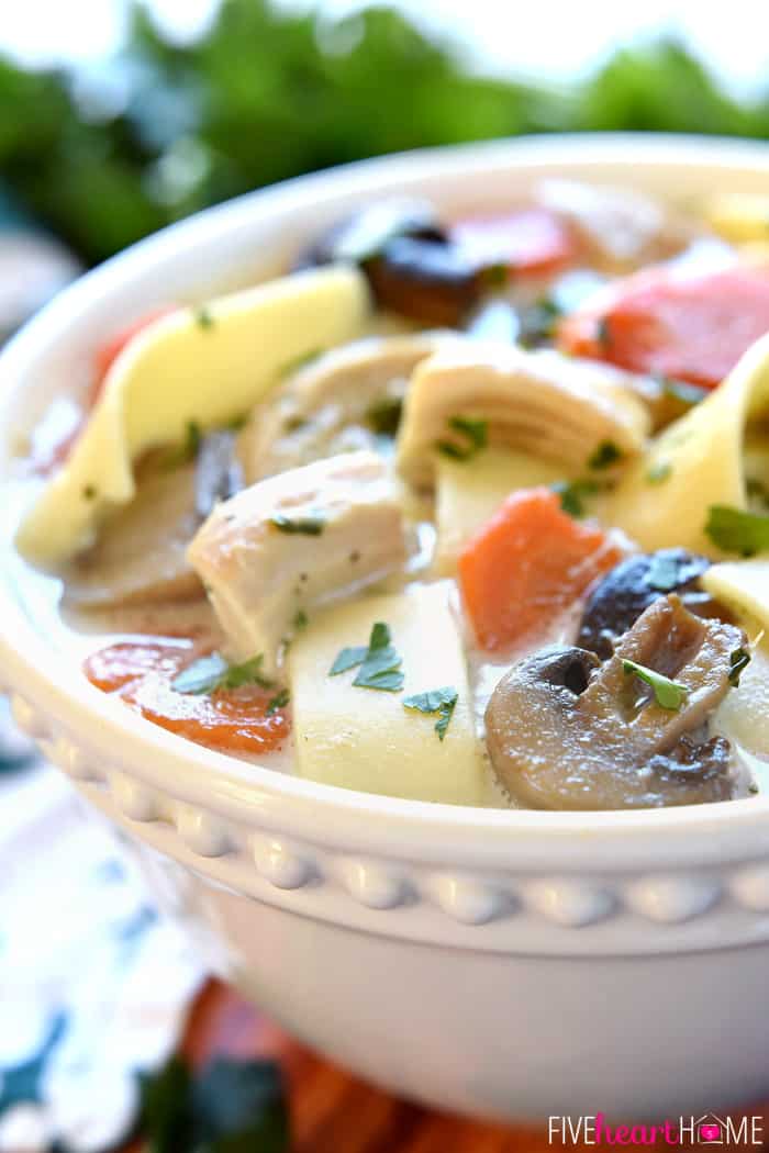 Close-Up Highlighting Mushrooms, Carrots, Diced Chicken and Noodles 