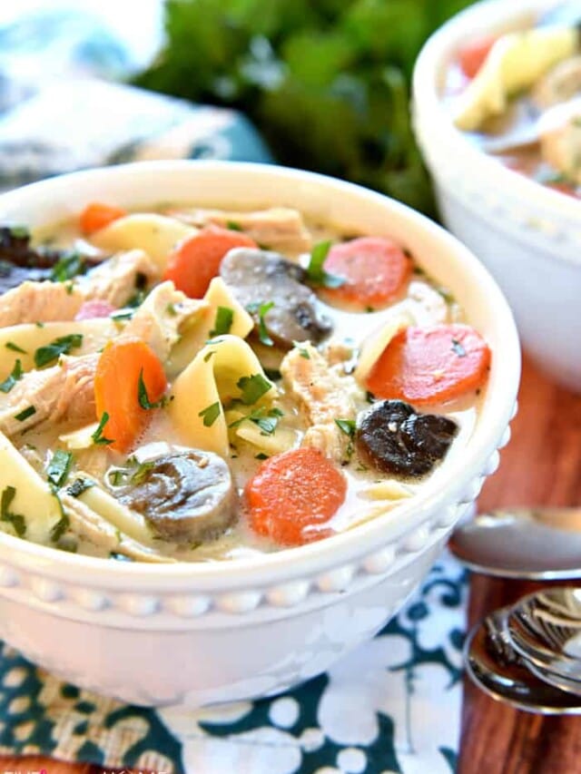 Slow Cooker Chicken Noodle Soup • FIVEheartHOME