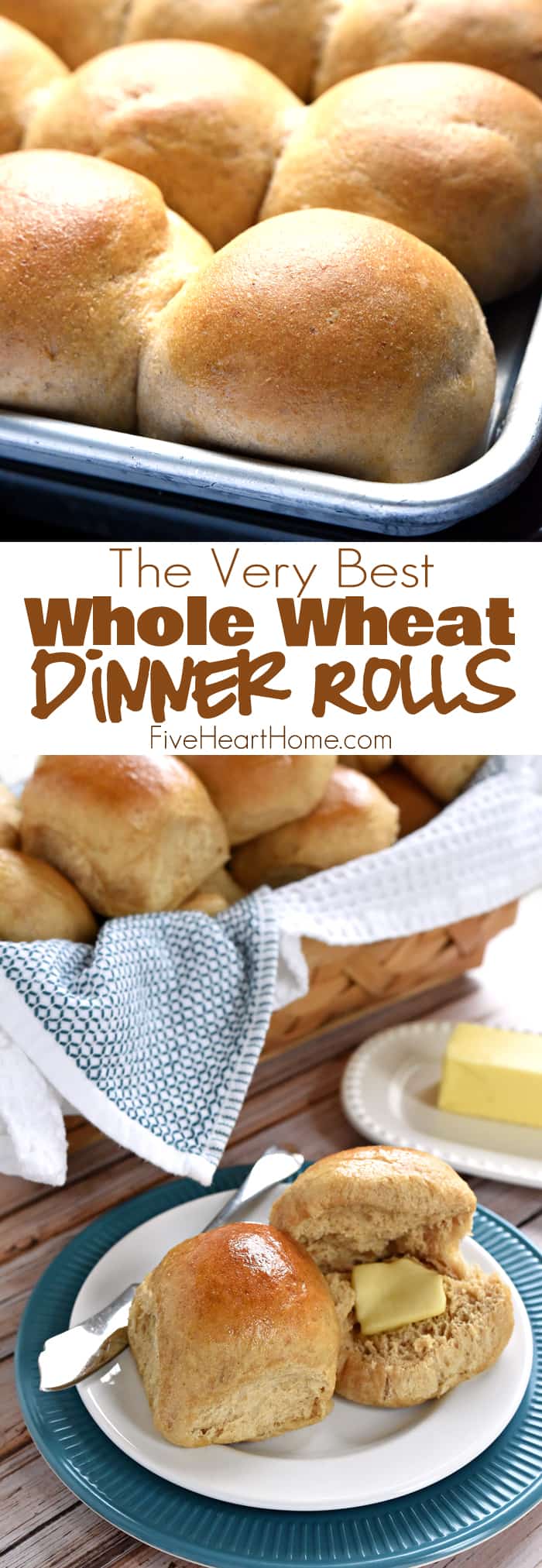 Homemade Whole Wheat Dinner Rolls ~ adapted from our incredibly popular Homemade Whole Wheat Bread recipe, these 100% whole wheat dinner rolls are soft, pillowy, moist, easy to make, and truly the BEST! | FiveHeartHome.com via @fivehearthome