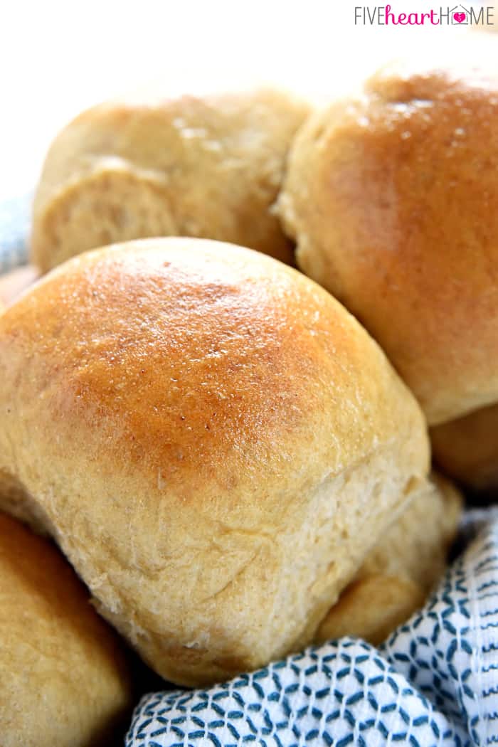 Soft 100% Whole Wheat Dinner Rolls - An Oregon Cottage