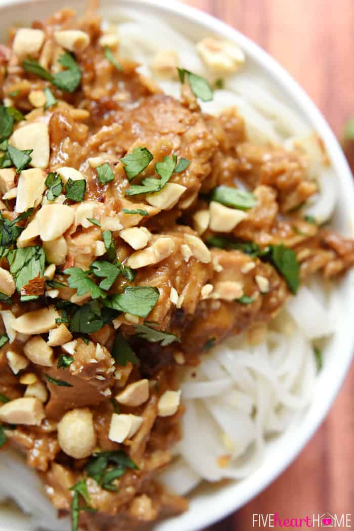 Crockpot Thai Peanut Chicken aerial view of bowl