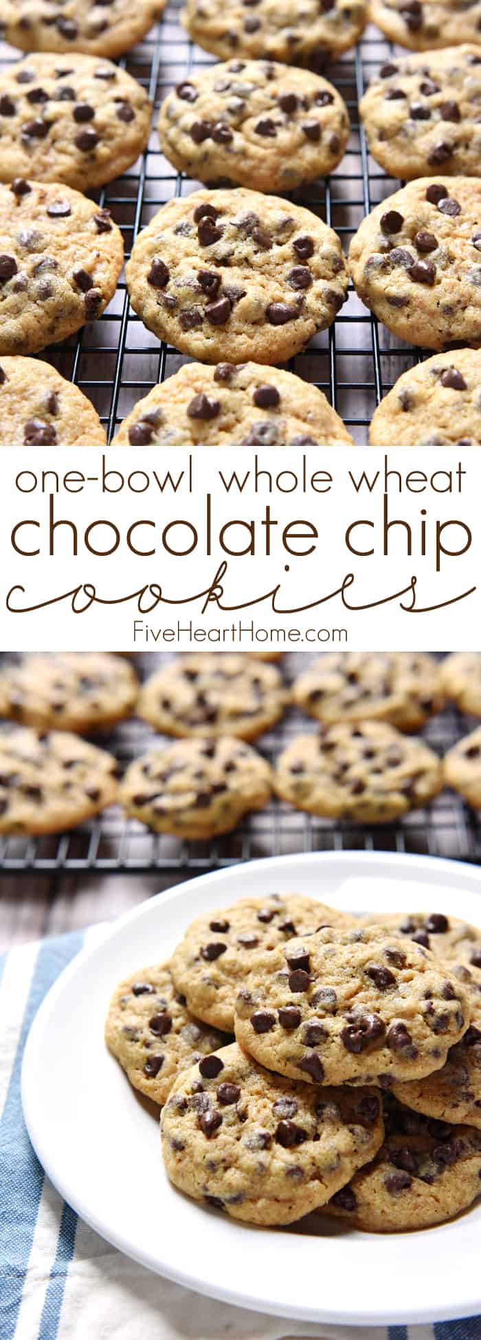 One-Bowl Whole Wheat Chocolate Chip Cookies ~ chewy, delicious, and made with 100% whole wheat flour in just one bowl, there's no need to feel guilty about enjoying an extra cookie...or three! | FiveHeartHome.com via @fivehearthome