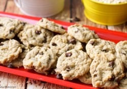Chocolate Chip Chippers