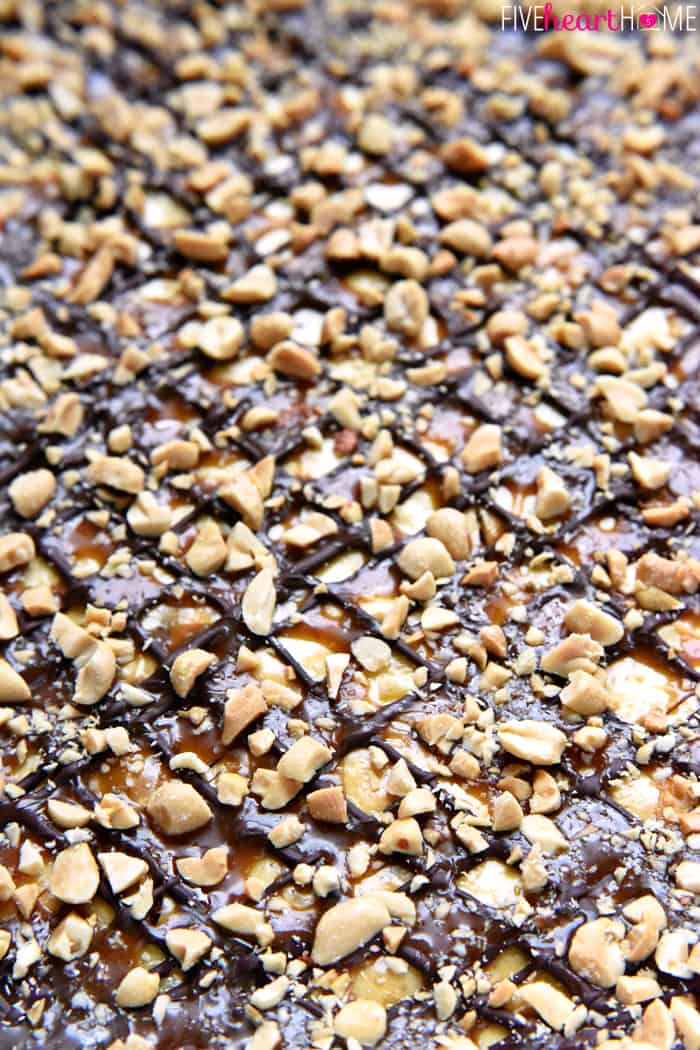 Close-Up of decadent layer of Snickers-studded cheesecake, drizzled with smooth chocolate and gooey caramel, and then sprinkled with salty chopped peanuts! 