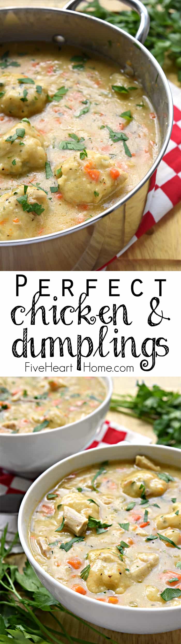 The BEST Chicken and Dumplings ~ a comfort food classic of flavorful broth, tender chicken, sweet carrots, fresh herbs, & fluffy homemade dumplings! | FiveHeartHome.com #chickenanddumplings via @fivehearthome