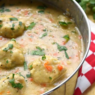 Homemade Chicken & Dumplings in pot