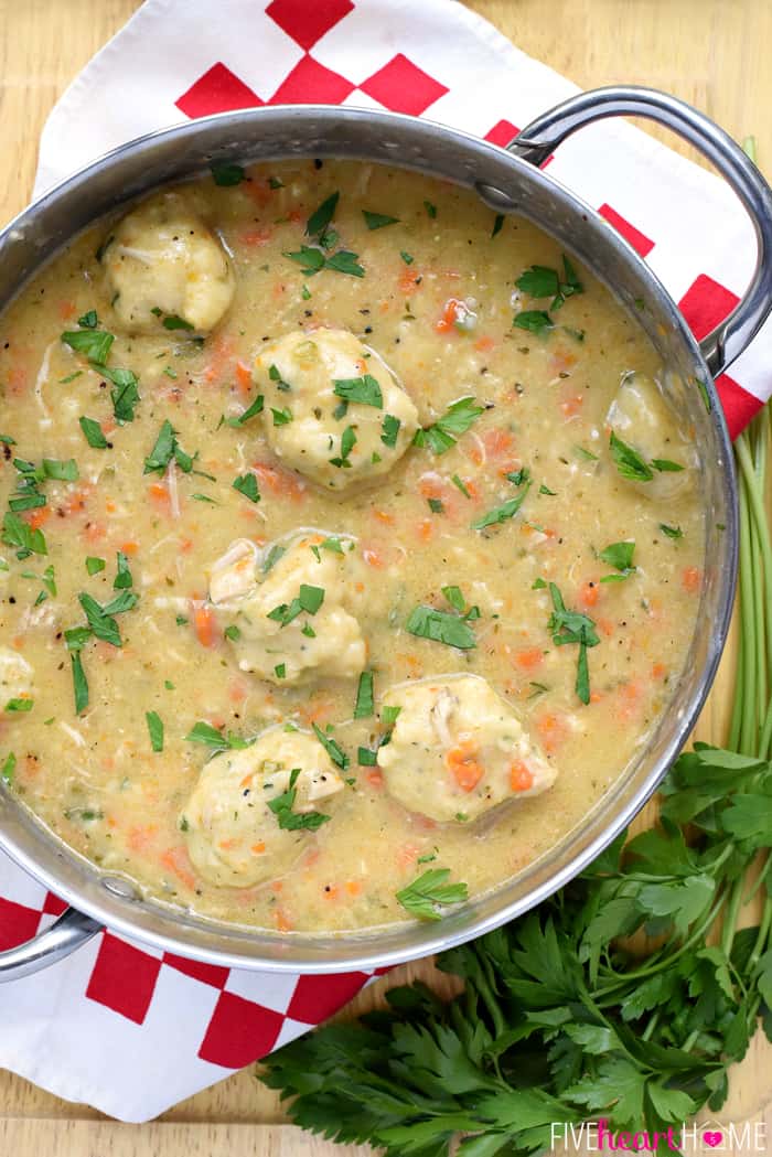 Aerial view of Chicken and Dumplings in pot.