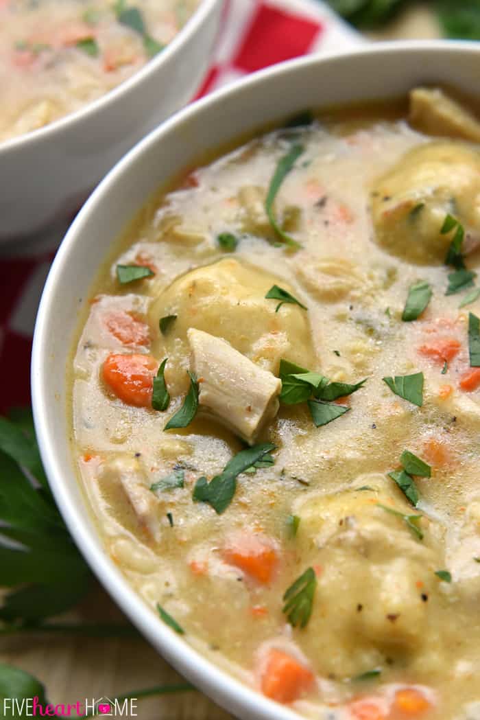 Chicken and Dumplings close-up in bowl.