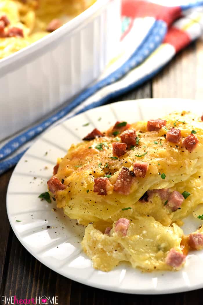 Cheesy Scalloped Potatoes with Ham on a White Plate 