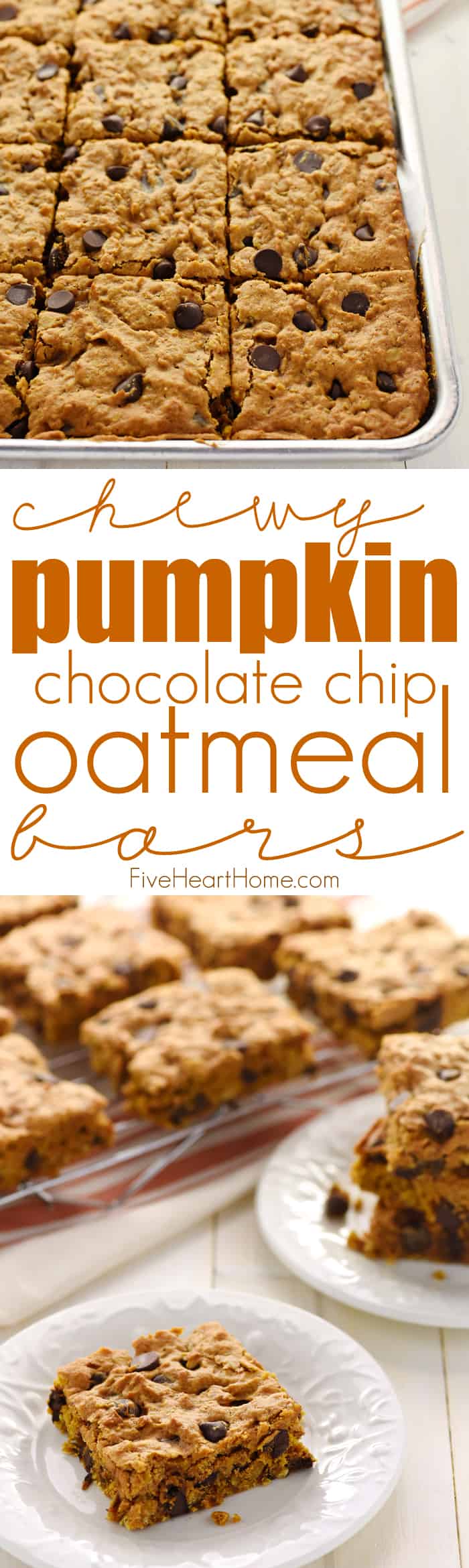 Chewy Pumpkin Chocolate Chip Oatmeal Bars ~ soft, moist, and loaded with pumpkin, chewy oats, warm spices, and rich chocolate chips for a perfect fall treat! | FiveHeartHome.com via @fivehearthome