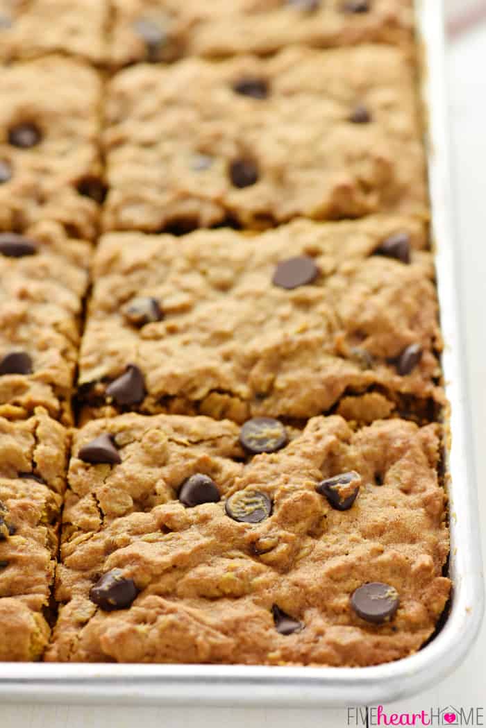 Chewy Pumpkin Chocolate Chip Oatmeal Bars