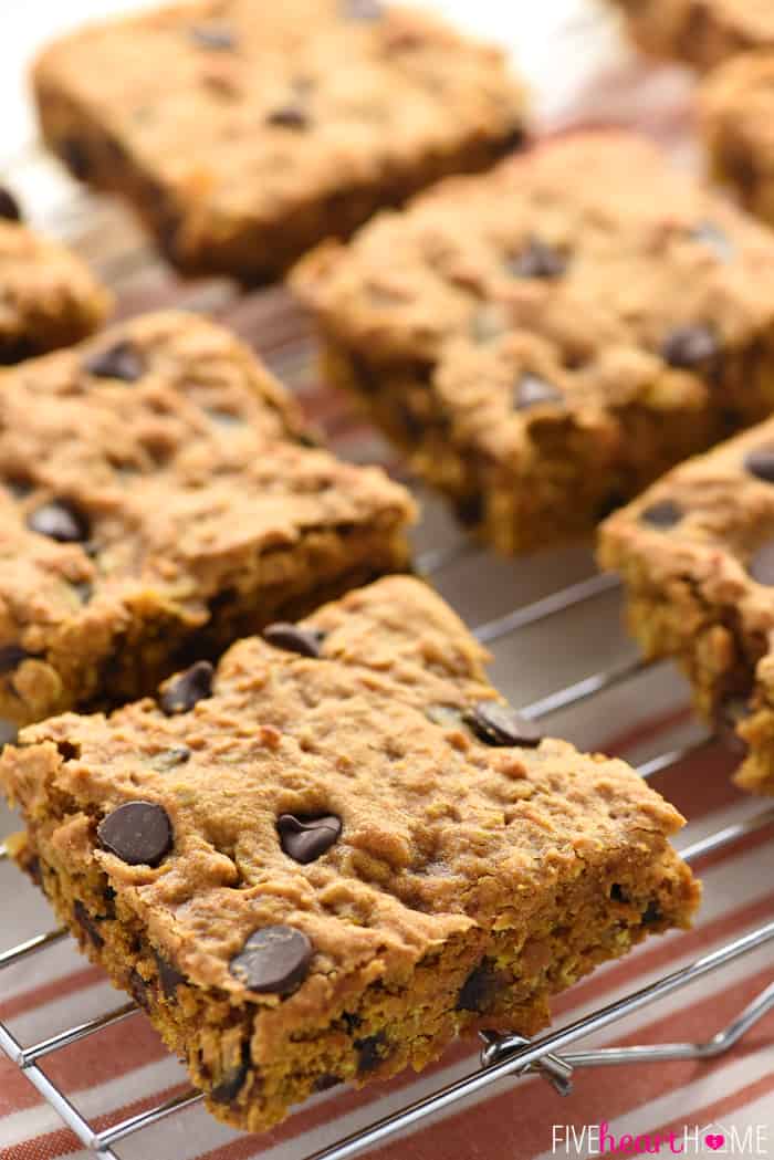 Chewy Pumpkin Chocolate Chip Oatmeal Bars ~ soft, moist, and loaded with pumpkin, chewy oats, warm spices, and rich chocolate chips for a perfect fall treat! | FiveHeartHome.com Cooling on a rack