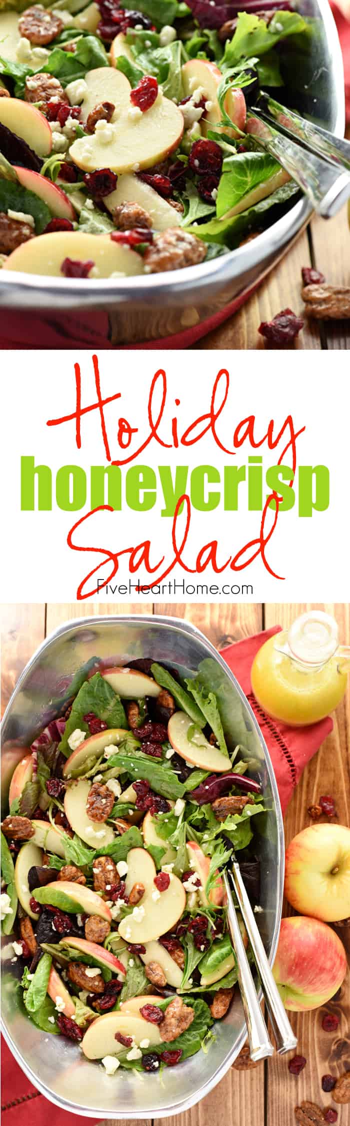 Holiday Honeycrisp Salad ~ full of flavor and texture, this gorgeous salad is loaded with fresh apple slices, crunchy toasted pecans, chewy dried cranberries, and zippy blue cheese, all dressed with a tangy-sweet apple cider vinaigrette atop a bed of your favorite salad greens...so vibrant and tasty you'll want to make it an annual addition to your Thanksgiving, Christmas, or New Year's menu! | FiveHeartHome.com via @fivehearthome