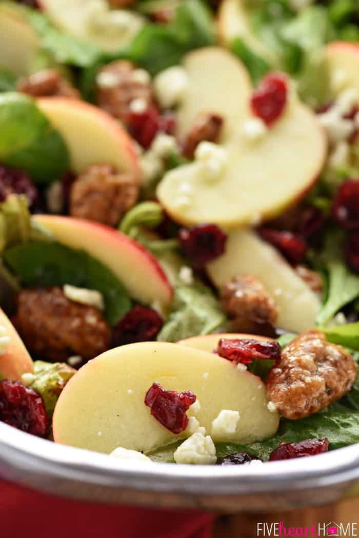 Christmas salad close-up