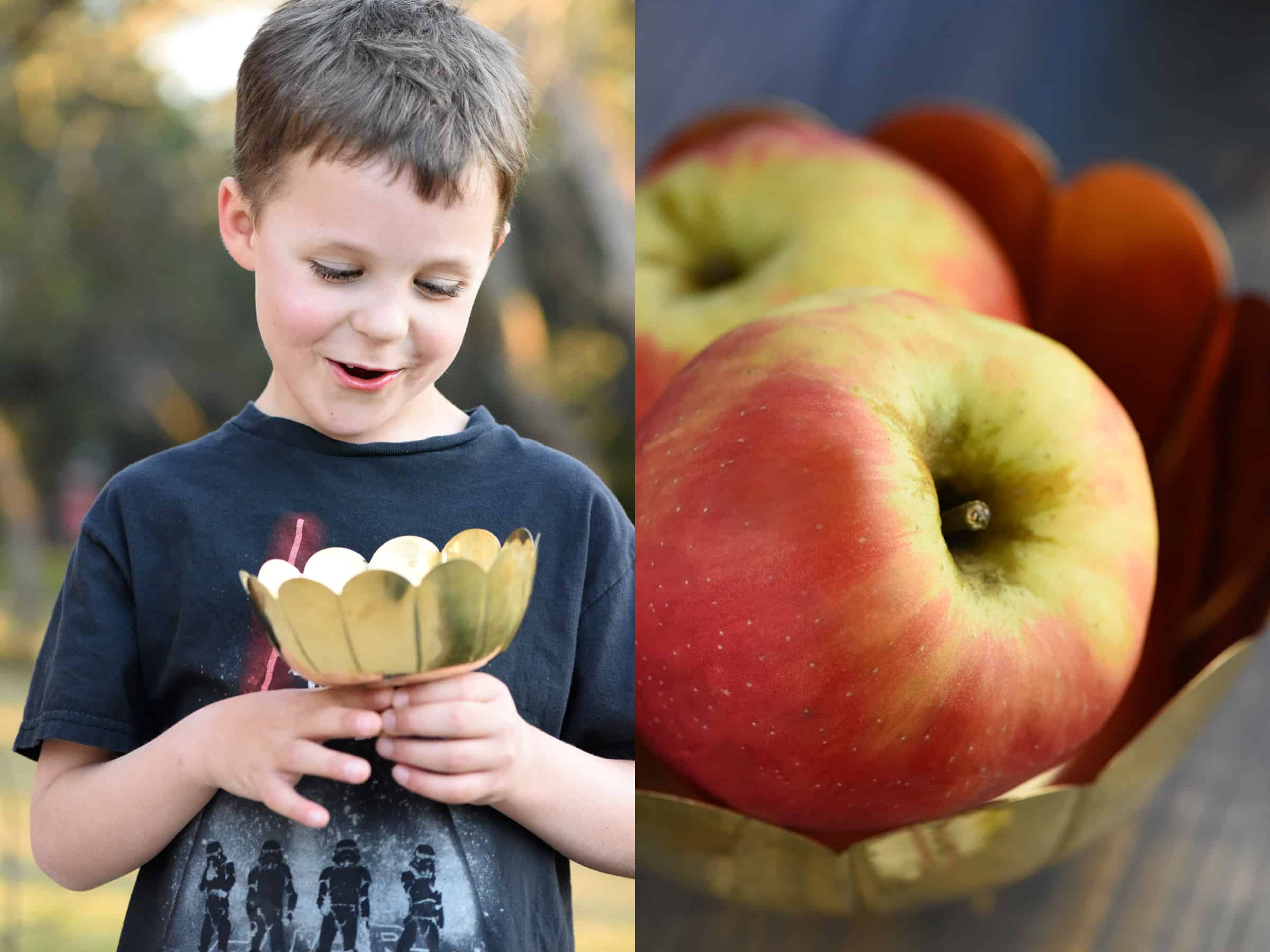 boy holding gold bowl and gold bowl holding apples