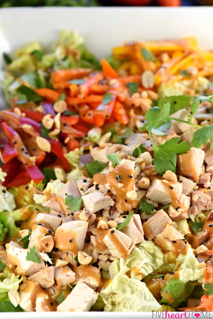 Thai Chicken Chopped Salad with Peanut Dressing ~ exploding with the contrasting flavors and textures of crunchy Napa cabbage, juicy chicken, colorful peppers, sweet carrots, salty peanuts, and fresh cilantro! | FiveHeartHome.com Close-Up of Thai Chicken Chopped Salad with crunchy Napa cabbage, juicy chicken, colorful peppers, sweet carrots, salty peanuts, and fresh cilantro
