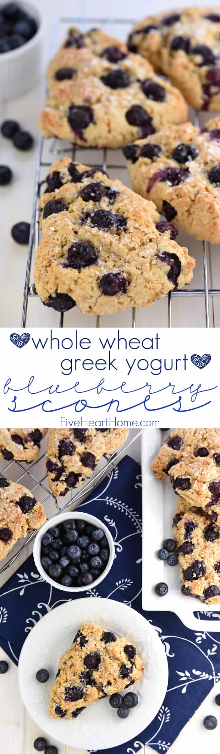 Whole Wheat Scones ~ tender, moist, and bursting with Greek yogurt and blueberries, these lightened-up scones are a wholesome spin on a classic breakfast treat...but nobody would ever guess by their delicious, decadent flavor! | FiveHeartHome.com via @fivehearthome