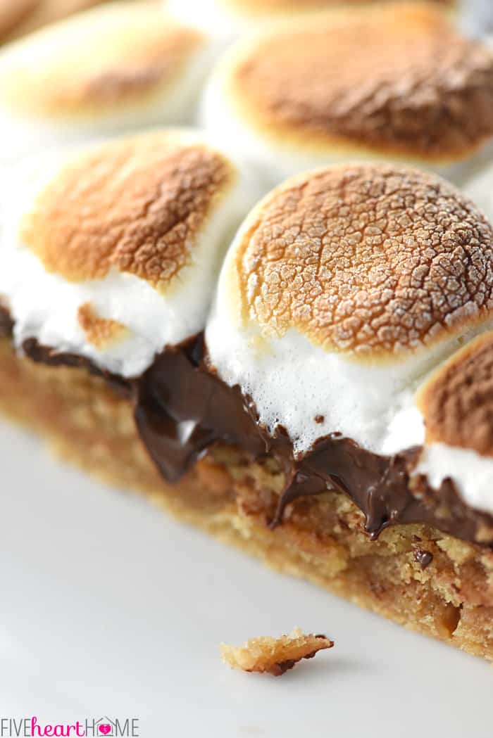 Peanut Butter Cookie S'mores Pizza Close-Up 